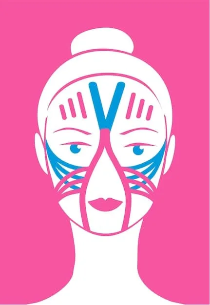 Graphic showing a round face with contour lines indicating where to apply contour and highlight for a slimming effect.