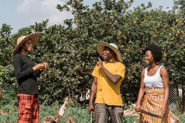 A medium shot of a group of women in Ghana harvesting shea nuts. They are smiling and wearing traditional clothing. The background shows a lush green shea tree forest.