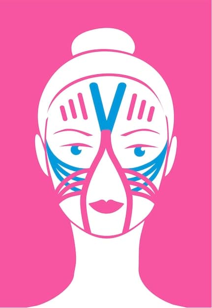 Graphic showing a round face with contour lines indicating where to apply contour and highlight for a slimming effect.