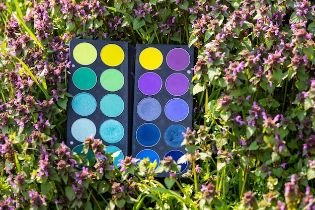 A color wheel showing complementary colors to brown, such as blues, purples, and greens. The image is designed to illustrate which colors best enhance brown eyes in eyeshadow application.
