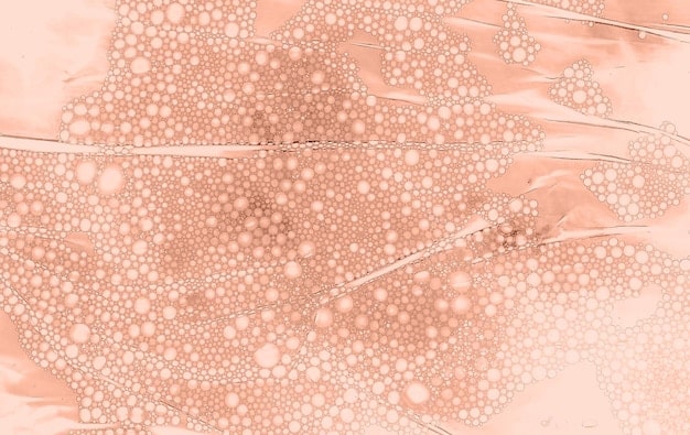A microscopic view of skin cells, highlighting collagen fibers and the effect of peptides in stimulating collagen production, resulting in a tighter, more youthful appearance.