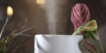 Self-Care Sundays: Aromatherapy for Relaxation & Well-being - Cover Image