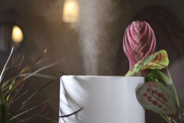 Self-Care Sundays: Aromatherapy for Relaxation & Well-being