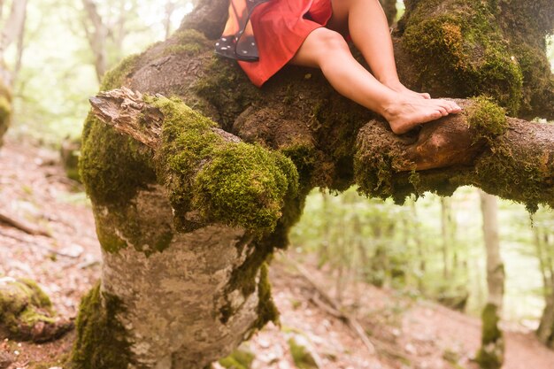 A close-up of a person's feet stepping on a moss-covered rock in a forest, with sunlight filtering through the trees.